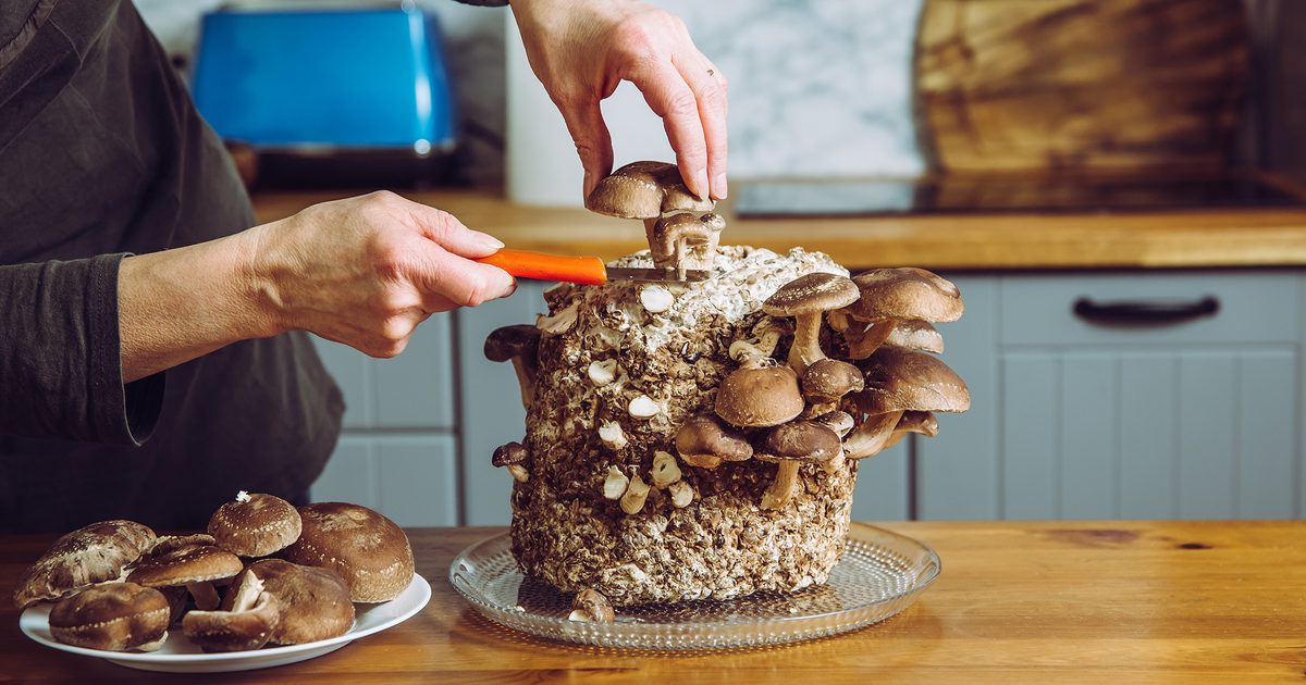 "Top Foods for a Healthy Liver: A Complete Guide" 8 2048x1365 Mushrooms SEO GettyImages 1303440326 28c963a